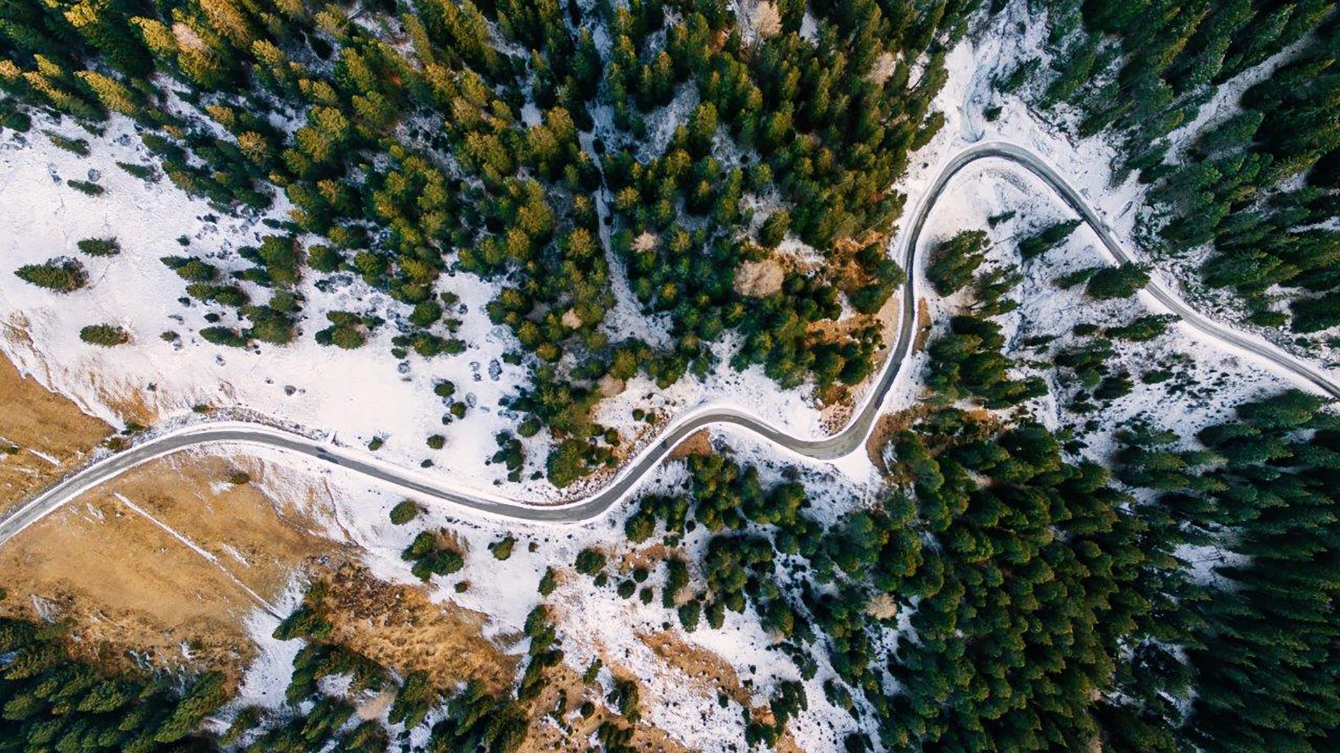 Article top image